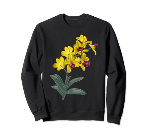 Cattleya Orquídeas Flor Plantas Botánicas Para Hombres y Mujeres Sudadera