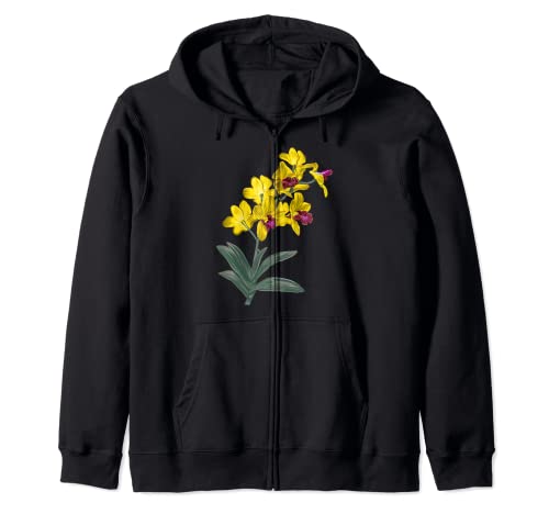 Cattleya Orquídeas Flor Plantas Botánicas Para Hombres y Mujeres Sudadera con Capucha