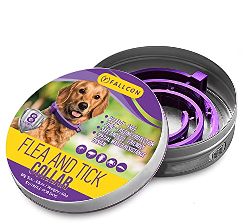 Collar Antiparasitos Perros Natural contra Pulgas,Garrapatas y Mosquitos,Tamaño Ajustable e Impermeable para Mascota Pequeño Mediano Grandes (Morado)