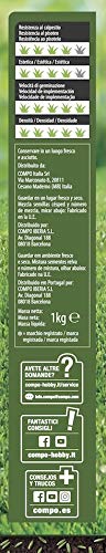 COMPO Semillas de césped repoblador Express, para 50 m², 1 kg, 2357802011