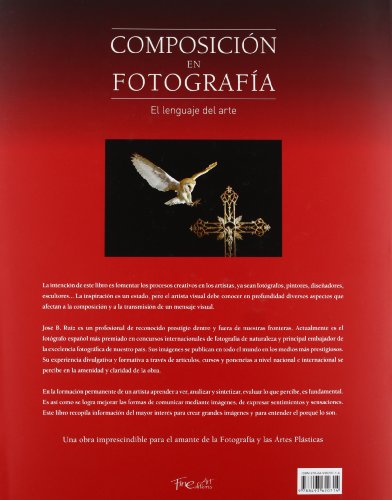 Composición En Fotografía