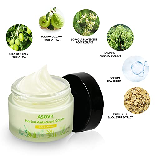 Crema Antiacne Para el Rejuvenecimiento de la Piel, Acné Crema Removedor de Puntos Negros, Crema Antimanchas Facial a base de Hierbas,Anti Acne, Equilibrio de Agua y Aceite,Acne Tratamiento, 50g