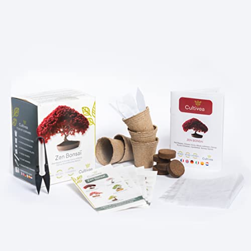 Cultivea Mini - Kit de 5 Bonsái para cultivar - Semillas de calidad - Jardín - Idea de regalo (Arce rojo, Cercis chino, Juniperus, Liquidambar, Pícea de Noruega)