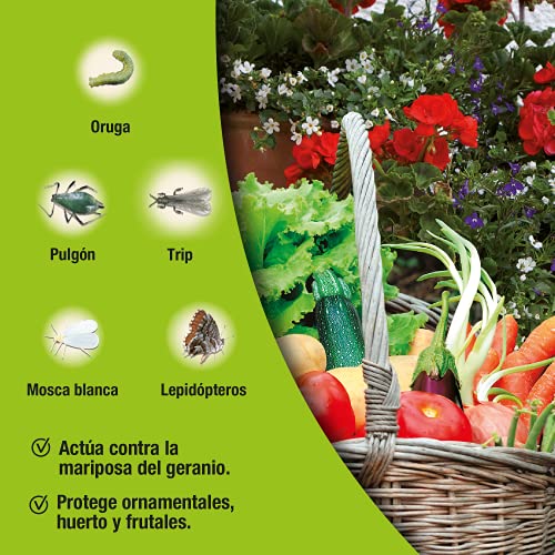 Decis Protech - Insecticida polivalente concentrado para ornamentales, frutales y horticolas, pulgones y orugas