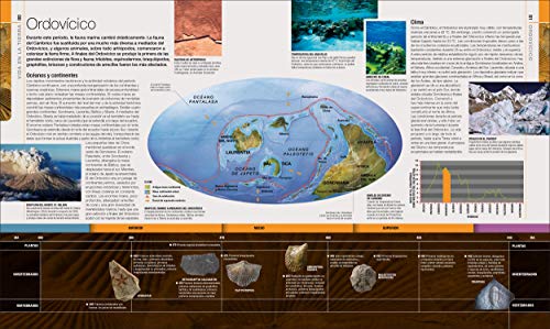 Dinosaurios y vida prehistórica: La guía visual definitiva de los animales prehistóricos (Gran formato)