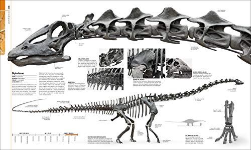 Dinosaurios y vida prehistórica: La guía visual definitiva de los animales prehistóricos (Gran formato)