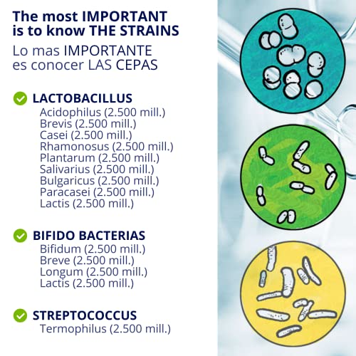 DUAFLORA Prebioticos y Probioticos Intestinales 30 Capsulas - Fortalecen Tus Defensas y la Flora Intestinal - 14 Cepas Lactobacilos y Bifidobacterias - Sin Gluten - Sin Lactosa - Apto Diabeticos - Capsulas 1 mes