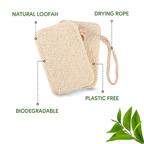 eplanita Esponjas Naturales Para Lavar Platos (Paquete de 6), Estropajos Cocina, Eco Scrubber, Planta de Lufa Natural, Biodegradable y Cero Residuos