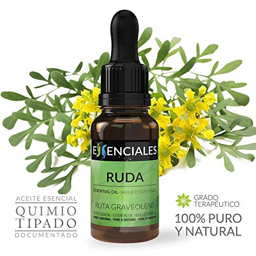 Essenciales - Aceite Esencial de Ruda, 100% Puro y Natural, 30 ml | Aceite Esencial Ruta Graveolens