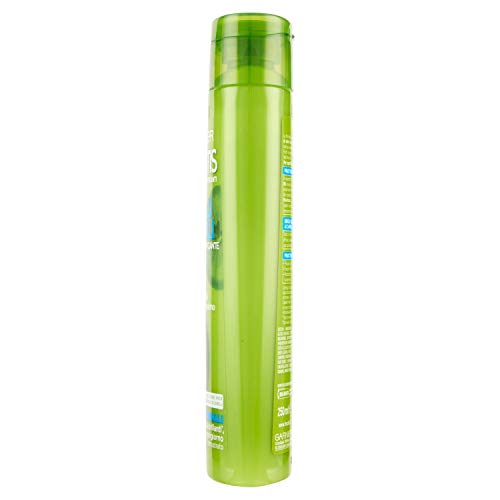 Garnier Fructis - Champú para cabello normal 2 en 1, concentrado activo de frutas, 250 ml