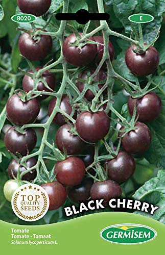 Germisem Black Cherry Tomate 20 Semillas (EC8020)