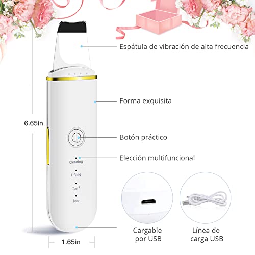 GUGUG Skin Scrubber, Limpiador Facial, Exfoliación de Cara, Peeling Facial 4 Modos para Limpiar los Poros y Cuidar la Piel, USB Recargable, Dispositivo de Belleza