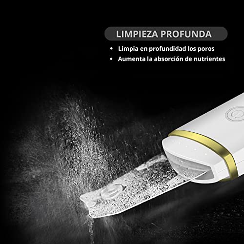 GUGUG Skin Scrubber, Limpiador Facial, Exfoliación de Cara, Peeling Facial 4 Modos para Limpiar los Poros y Cuidar la Piel, USB Recargable, Dispositivo de Belleza