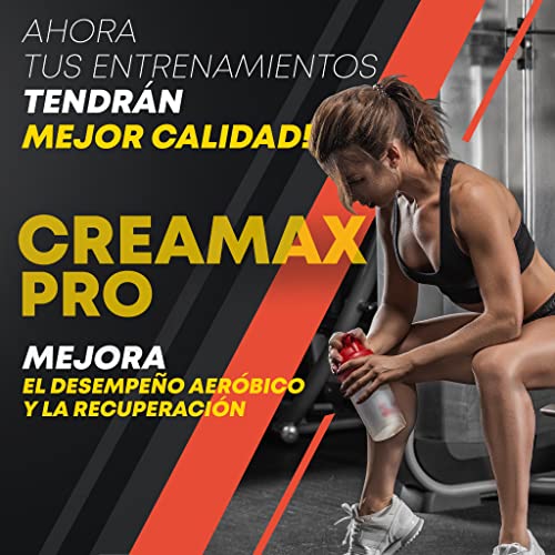 Healthy Fusion Creatina microfiltrada, vitamina B6, Pura Creatina, Mejor resistencia física, Ayuda al crecimiento muscular, Absorción rápida y completa, Sabor Sandía, 30 dosis por bote