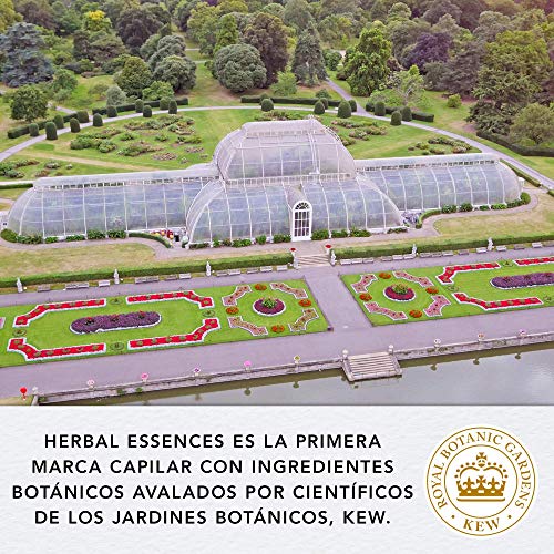 Herbal Essences bio:renew Aceite De Argán De Marruecos Reparación Champú, En Colaboración Con El Real Jardín Botánico De Kewn 6 x 250ml