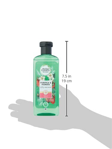 Herbal Essences bio:renew Fresa Blanca y Menta Dulce Purificante Champú, En Colaboración Con El Real Jardín Botánico De Kew 6 x 250ml