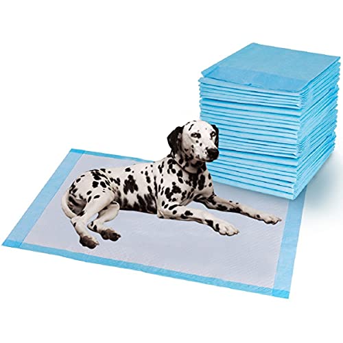 Hipex Collection Empapadores de Entrenamiento para Perro, Mascotas perfumes con feromonas, Alfombrilla higiénica Antibacterianos Reciclable Super Absorbente (56x56 cm, 40 PCs)