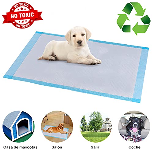 Hipex Collection Empapadores de Entrenamiento para Perro, Mascotas perfumes con feromonas, Alfombrilla higiénica Antibacterianos Reciclable Super Absorbente (56x56 cm, 40 PCs)