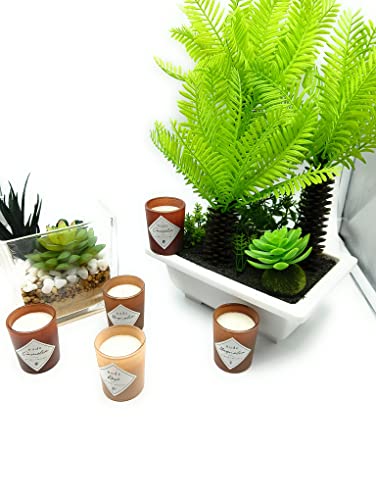 Home Deco Factory Velas aromáticas perfumadas, 5 unidades. Velas de larga duración decorativas, aroma esencial natural. Juego set para regalo