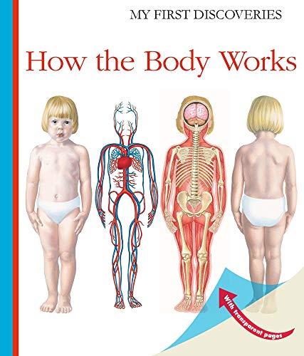 How the Body Works (My First Discoveries)