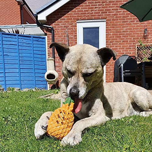 Juguetes para Perros De Razas Medianas Juguetes Interactivos Juguetes De Goma Duraderos para Entrenar Juguetes para Masticar Duros Juguetes para Perros Que Dispensan Golosinas (Piña Mediana)