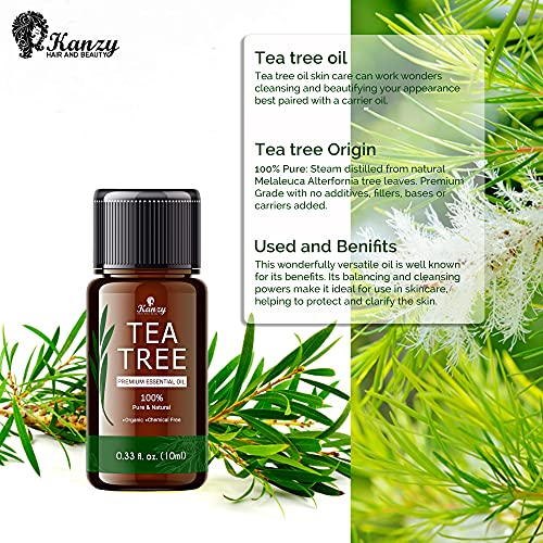 Kanzy Aceite de Árbol de Té 100% Puro 10ml Natural Tea Tree Oil Perfecto Tratamiento para Cara, Cuerpo, Piel y Cabello Aceite Esencial Arbol te Bio Puro