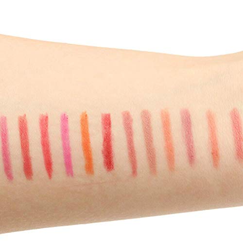 Lápiz labial mate impermeable Frcolor delineador de labios de larga duración 12 Piezas