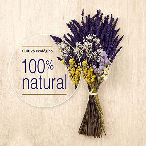 Lavanda Experience, Ramo de Flores Naturales con Lavanda Preservada, Camomila y Flores Secas de Cultivo Ecológico, Elaboración Artesanal y de Primera Calidad.