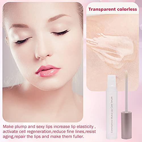 Lip Plumper Gloss, Lip Plumper, Brillo de Labios,Relleno labial Natural, Reduce las líneas Finas,Hace Que los labios Estén más llenos e Hidratados