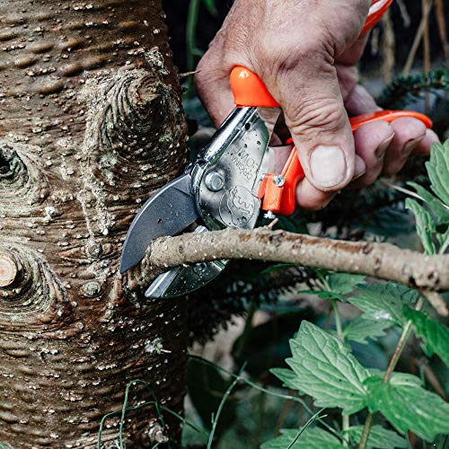 Loewe 1107 - Herramienta eléctricas de jardín