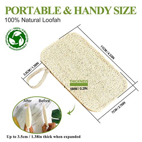 Lufa Natural Esponja, 4 Piezas Loofah Scrubber Esponjas Orgánicas Naturales para Lavar Platos con Cuerda, Biodegradable Esponja Vegetal Natural Luffa Ecológico para cocina del limpia y Ducha para Baño