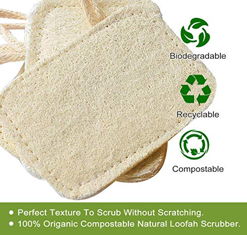 Lufa Natural Esponja, 4 Piezas Loofah Scrubber Esponjas Orgánicas Naturales para Lavar Platos con Cuerda, Biodegradable Esponja Vegetal Natural Luffa Ecológico para cocina del limpia y Ducha para Baño