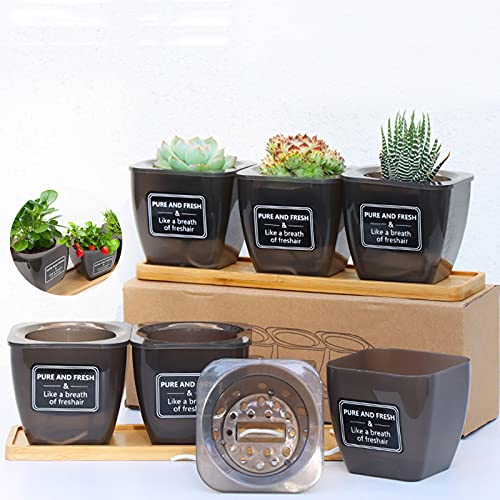 Maceta Autorriego,Macetas Hierbas,Maceta Autorriego Interior Pequeña,con Bandeja,Maceta para Interiores al Aire Libre Jardines de Windowsill Planta Decorativa para Flores Hierbas,3 Piezas.