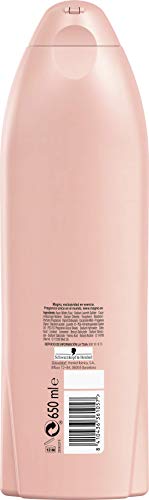 Magno - Gel de Ducha Rose - 6uds de 650ml (3.900ml) – Con aceite de almendra – Fragancia con toques silvestres y hierbas aromáticas