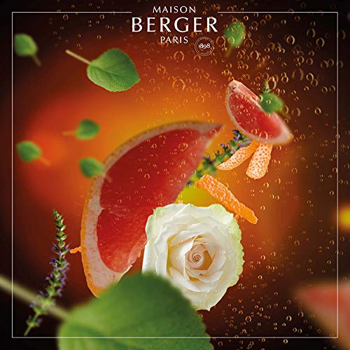 Maison Berger Paris 1898 Prickelnd wie Champagner Perfume de Hogar Pétillance Exquise 1 Litro, Blanco, 1 l