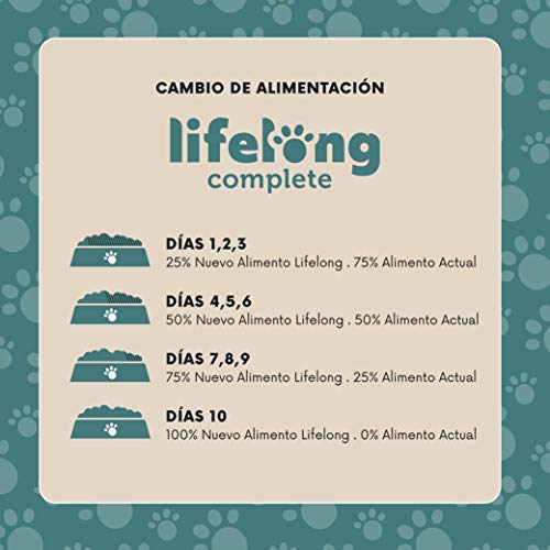 Marca Amazon - Lifelong Alimento completo para gatos adultos - Selección de pescado en salsa, 2,4 kg (24 bolsitas x 100g)