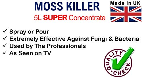 moss killer Outdoors