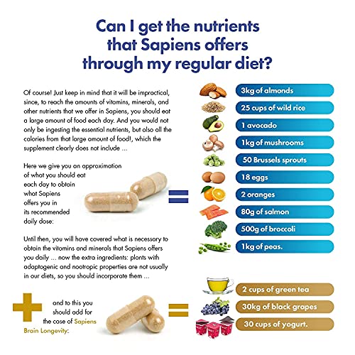 Multivitaminico. RENDIMIENTO MENTAL - Energía, Concentración, Memoria, Rendimiento intelectual, Gaming - 60 Cápsulas con Vitamina B, Vitamina C, Vitamina D, Ginkgo Biloba - SAPIENS BRAIN PERFORMANCE