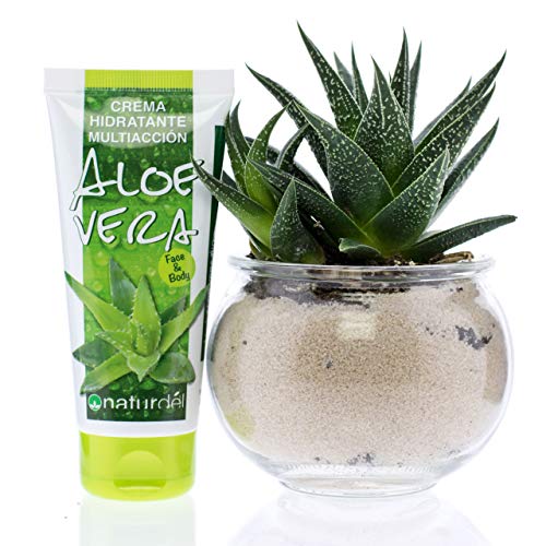 NATURDEL Crema Hidratante Multiacción Aloe Vera Face & Body, 100 Mililitro