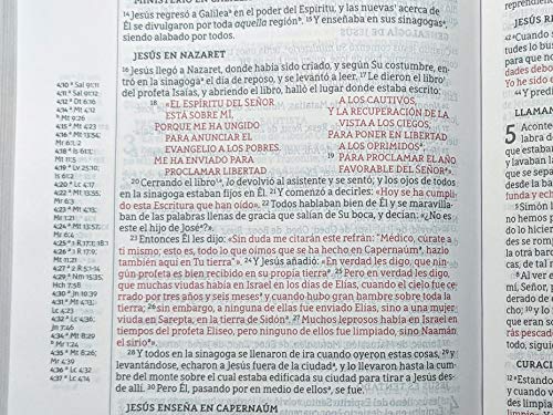 Nbla Santa Biblia, Una Columna Con Referencias, Letra Grande, Leathersoft, Beige, Edición Letra Roja: Nueva Biblia de las Américas, Santa Biblia, ... Beige, Leathersoft, Red Letter Edition