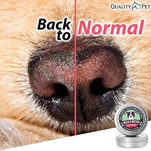 Nozzle Nectar Bálsamo emoliente para Nariz para Perros - 100% orgánico y Natural - Cura y regenera la Nariz de tu Perro Agrietada y Seca - Regenera heridas y contusiones