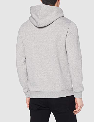 Only & Sons Onsceres Life-Sudadera con Capucha, Gris Claro, M para Hombre