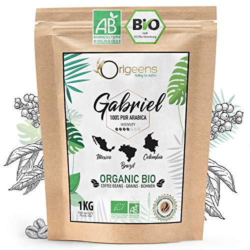 ORIGEENS Café en Grano Natural 1kg | Cafe Grano Arabica Ecológico | Torrefacción Artesanal | Gabriel