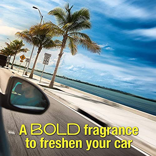 Pack de 4 - California Car Scents - Ambientador de Coche con Fragancia, Olor y Esencias a Ice, Aroma a Coche Nuevo/New Car (Minidifusores, 2UDS)