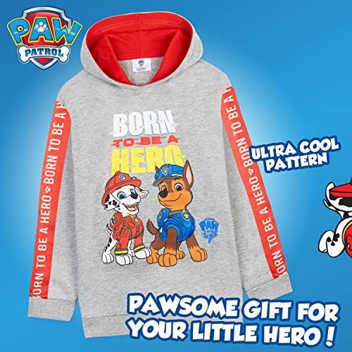 Paw Patrol Sudadera Niño con Capucha de 2 - 6 Años, La Patrulla Canina Ropa (2-3 Años, Gris)