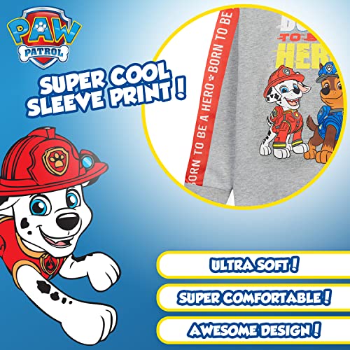 Paw Patrol Sudadera Niño con Capucha de 2 - 6 Años, La Patrulla Canina Ropa (2-3 Años, Gris)