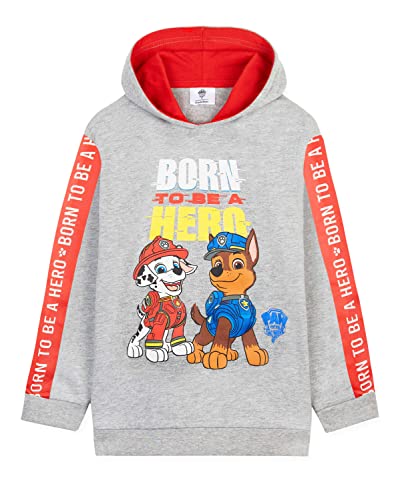 Paw Patrol Sudadera Niño con Capucha de 2 - 6 Años, La Patrulla Canina Ropa (2-3 Años, Gris)