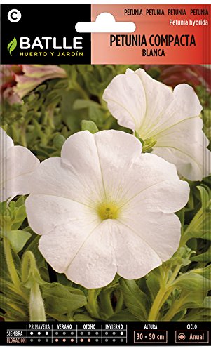 Petunia Compacta BLANCA