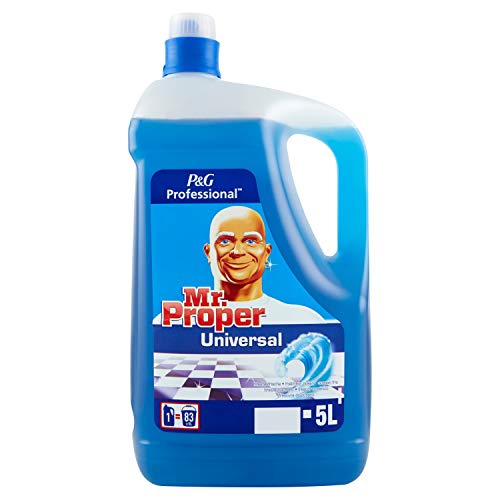 P&G Mr.Proper Proffesional - 5L