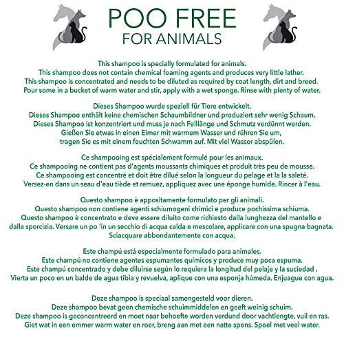 POO FREE 99% Natural CHAMPÚ para Perros - con Aloe Vera, CITRONELA & NEEM - 250ml pH Equilibrado. Sin Sulfatos, Sin Parabenos, Sin Silicona. Concentrado, Limpia, Calma, Hidrata, Alivia.